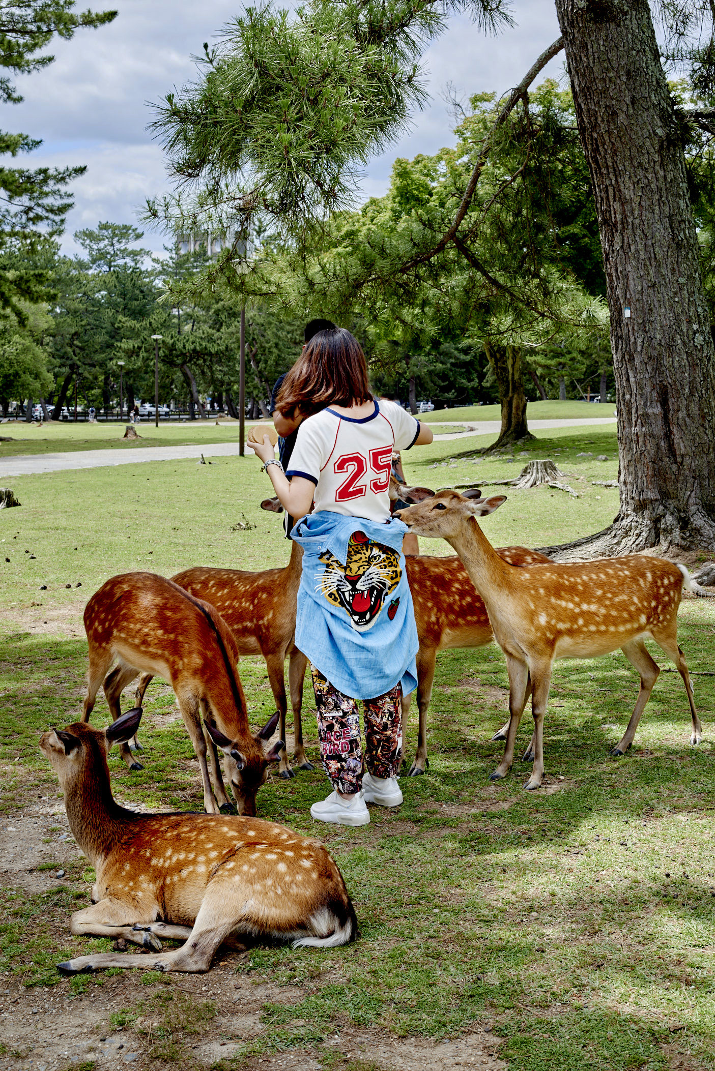 Yasara Gunawardena – Japan – Nara – Deer Park
